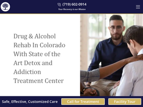 'palmerlakerecovery.com' screenshot