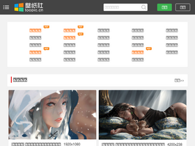 'toopic.cn' screenshot
