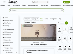 community.morphmarket.com