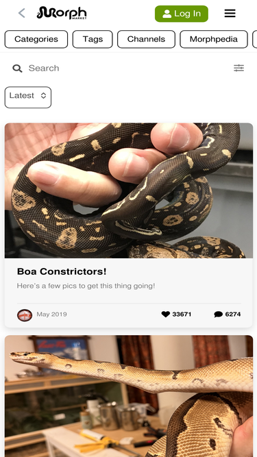 community.morphmarket.com