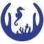 meerwasserforum.com