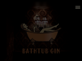 bathtubginnyc.com