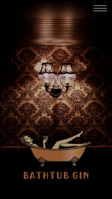 bathtubginnyc.com