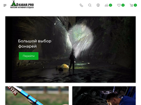 'decu.ru' screenshot