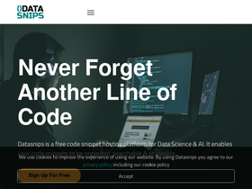 datasnips.com