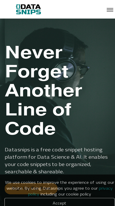datasnips.com