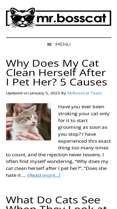 mrbosscat.com
