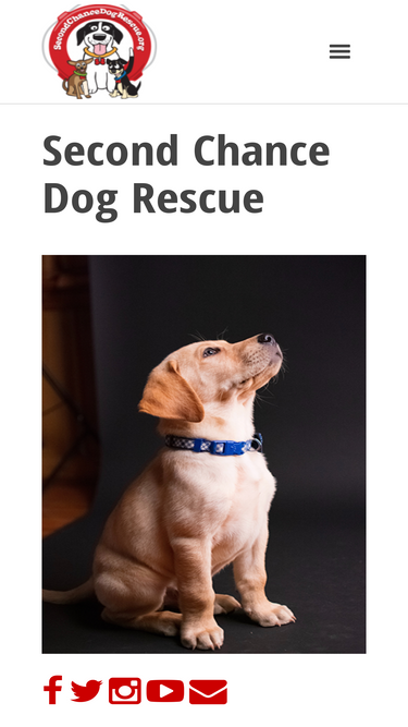 secondchancedogrescue.org