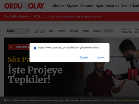 'orduolay.com' screenshot