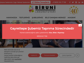 'biruni.com.tr' screenshot