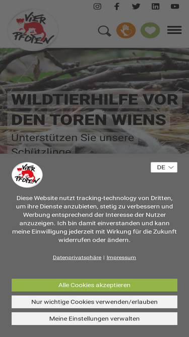 vier-pfoten.at