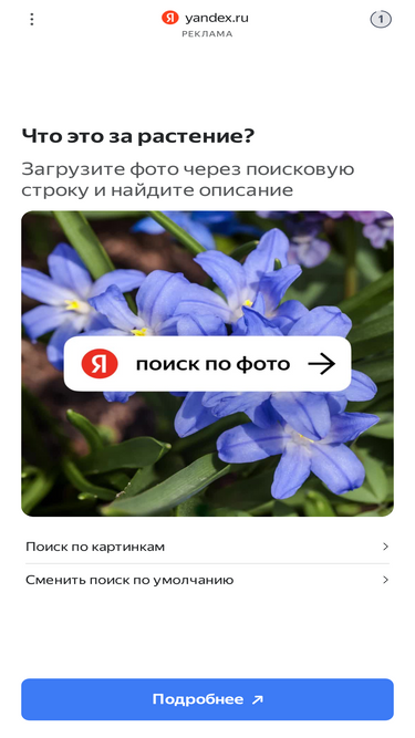 dogtema.ru