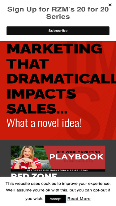 redzonemarketing.com