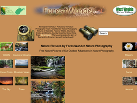forestwander.com