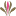 cuncyue.com