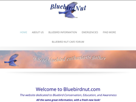 bluebirdnut.com