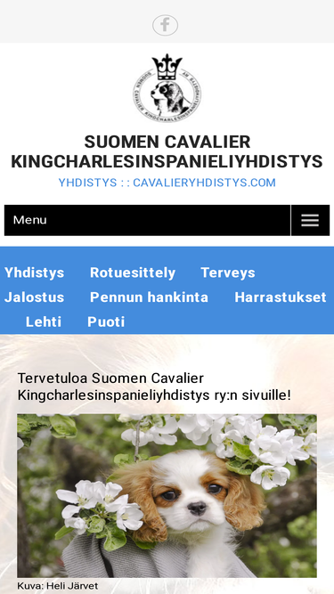 cavalieryhdistys.com