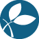 elmwoodbaptist.org