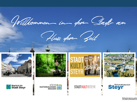 'steyr.at' screenshot