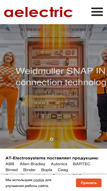 aelectric.ru