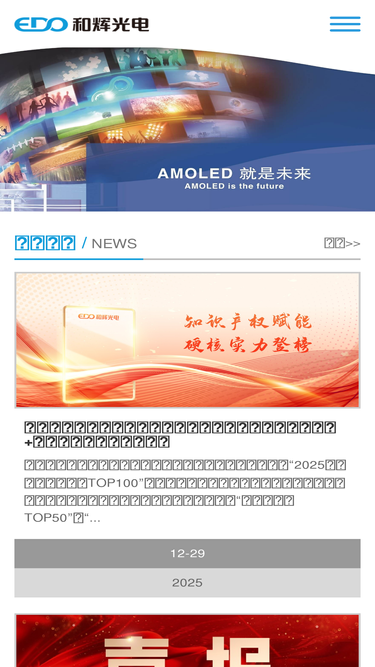 everdisplay.com