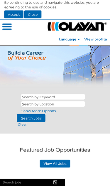 olayancareer.com