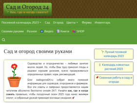 'sadiogorod24.ru' screenshot