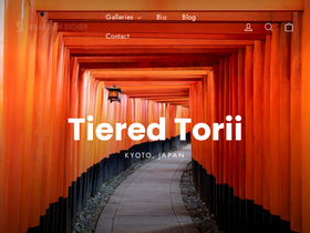 brandoneicher.com homepage screenshot