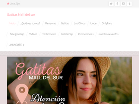 'gatitasmalldelsur.com' screenshot