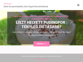 'salatagyar.hu' screenshot