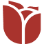 gruporosalescordoba.com