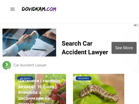 'dovidkam.com' screenshot