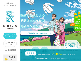 'rinavis.com' screenshot