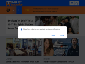 'tum-haberler.com' screenshot