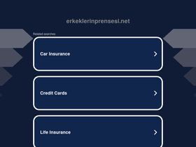 'erkeklerinprensesi.net' screenshot