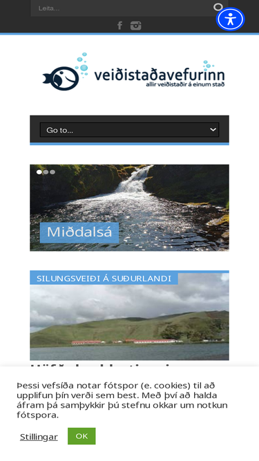 veidistadir.is