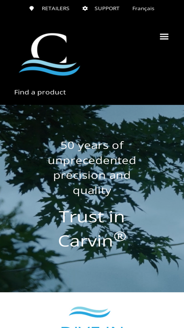carvinpool.com