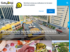 'saydigi.com' screenshot