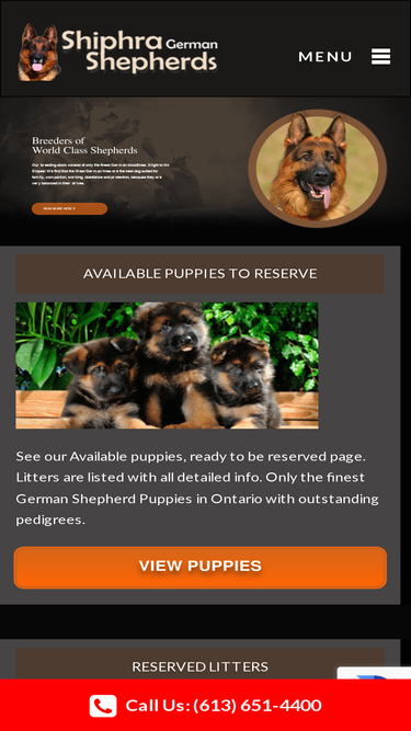 shiphrashepherds.com