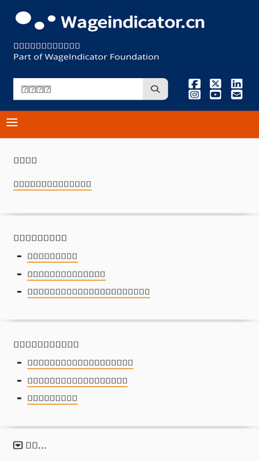 wageindicator.cn