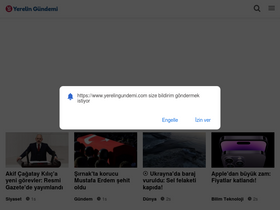'yerelingundemi.com' screenshot