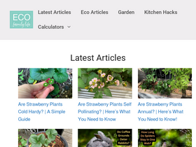 'ecofamilylife.com' screenshot