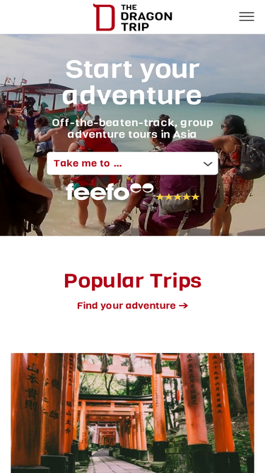 thedragontrip.com