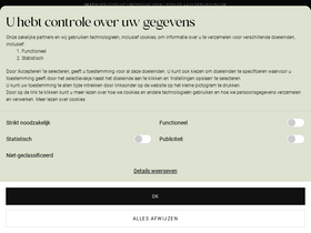 'zizzi.nl' screenshot