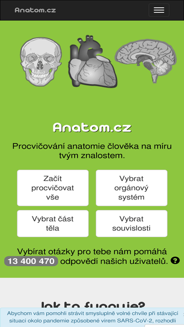 anatom.cz