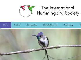 hummingbirdsociety.org