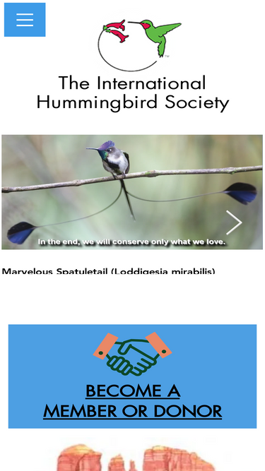 hummingbirdsociety.org