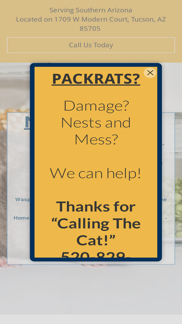 wildcatexterminating.com