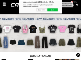'carpe.com.tr' screenshot