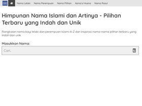 preview